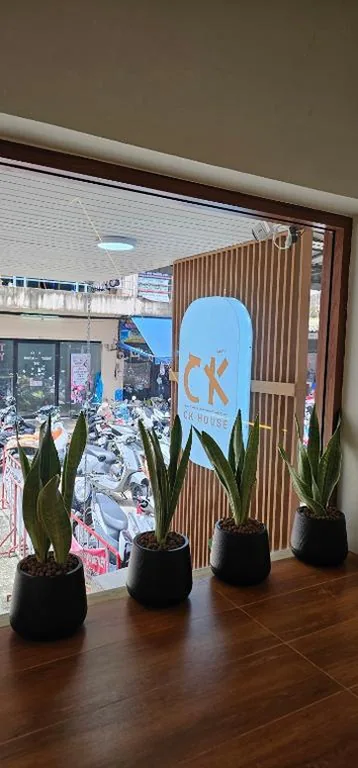 CK House – Foto 11